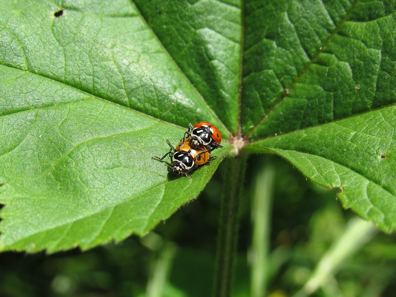 腾达娱乐,注册|如何利用微信群营销提高客户粘性