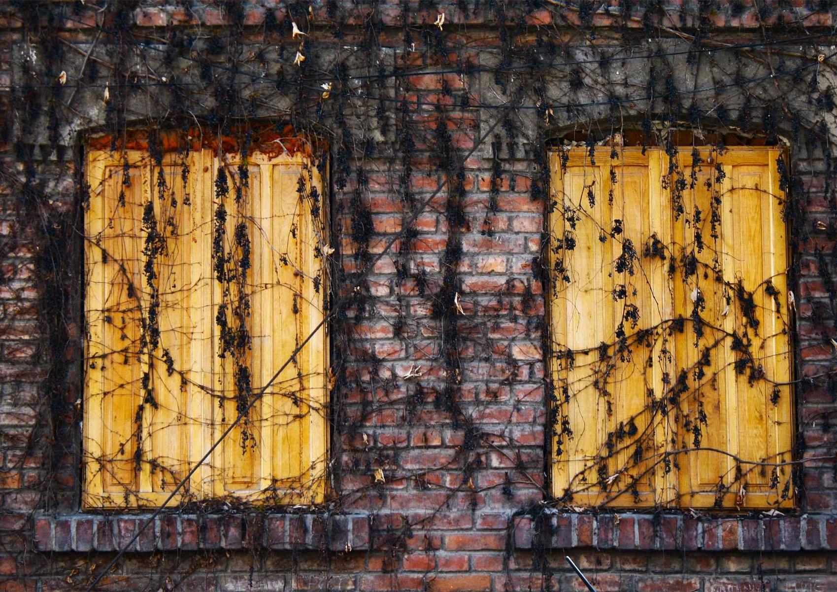 WX老号发卡网：电力代理公司怎么注册