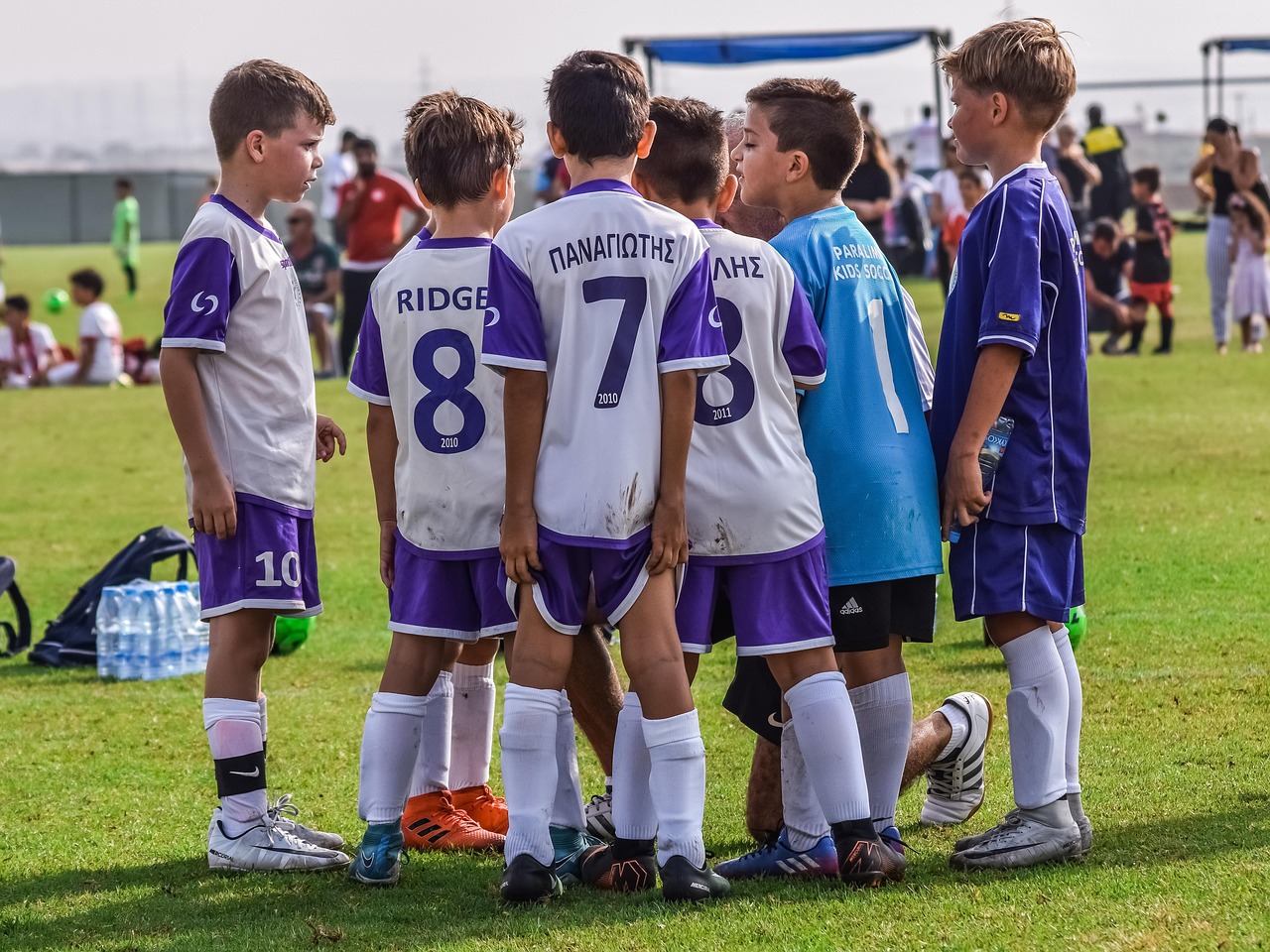 代理注册公司价格低