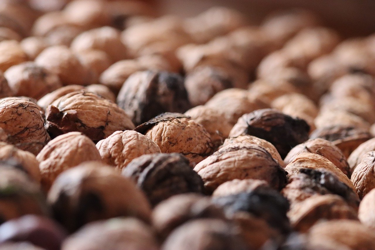 顺盈华数 app详情下载教程